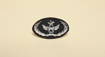 Aircraft Engineer Wings Badge